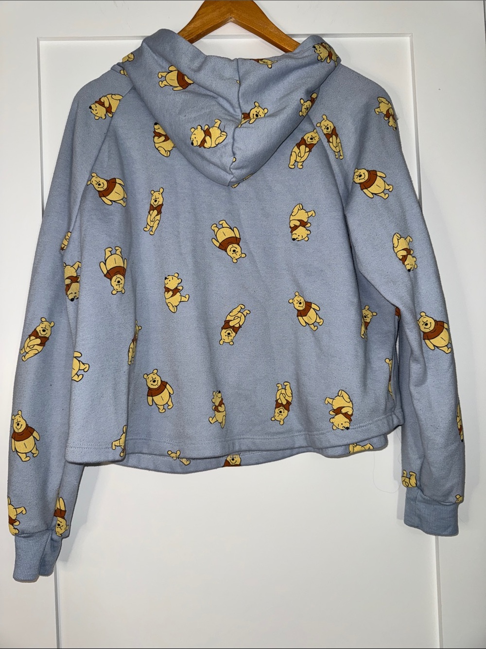 Disney Light Blue Winnie the Pooh All-Over Print Hooded Sweater Sz Large cropped - Picture 5 of 5